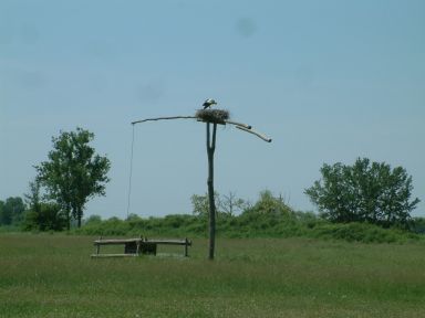 DSCF0180a.jpg