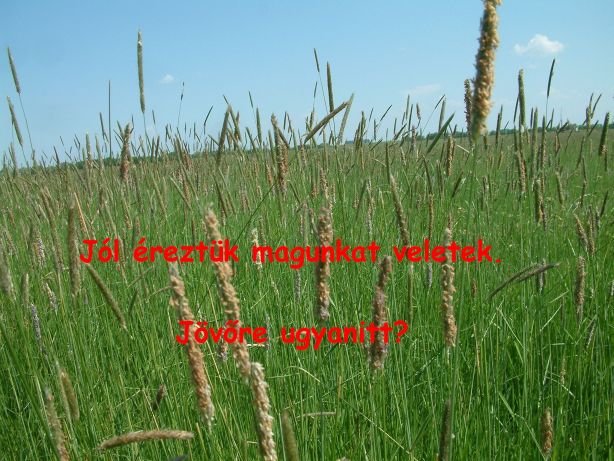 DSCF0227a.jpg