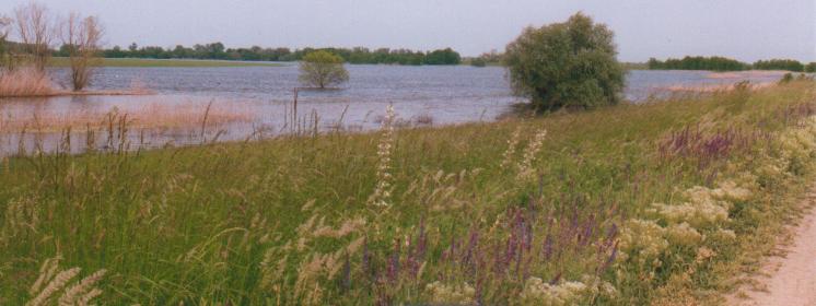 Hortobagy-Berettyo-12.JPG