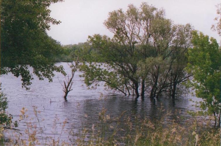 Hortobagy-Berettyo-15.JPG