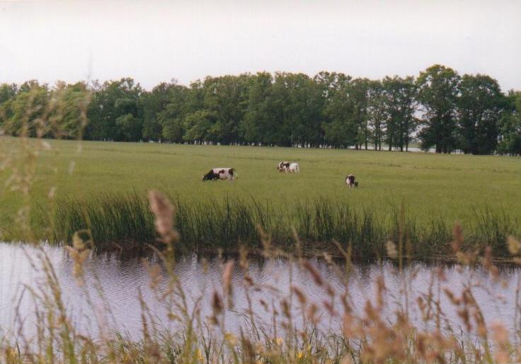 Hortobagy-Berettyo-8.JPG