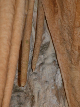DSCF0287a.jpg