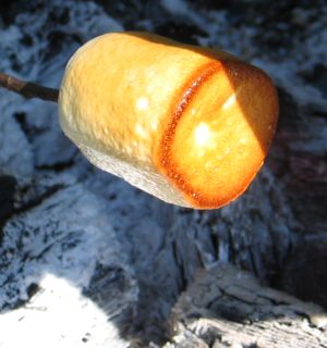 malyvacukor.jpg