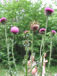 IMG_9523h.jpg