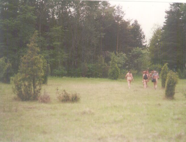 natura6d.jpg