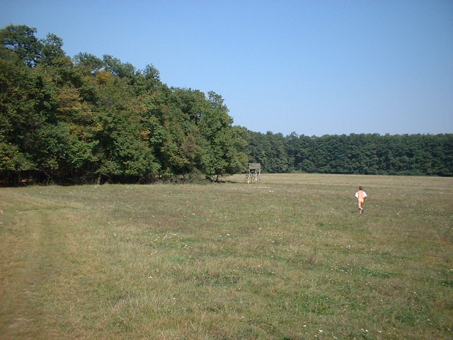 dscf0026.jpg