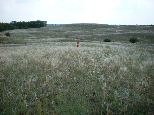 dscf0018.jpg