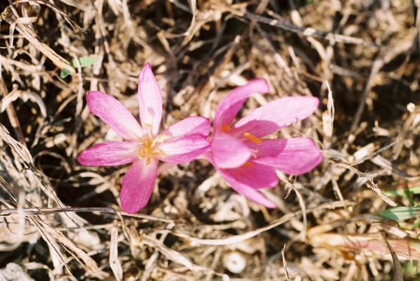 al000035.jpg