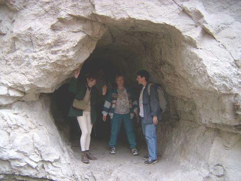 Holdv20a.jpg