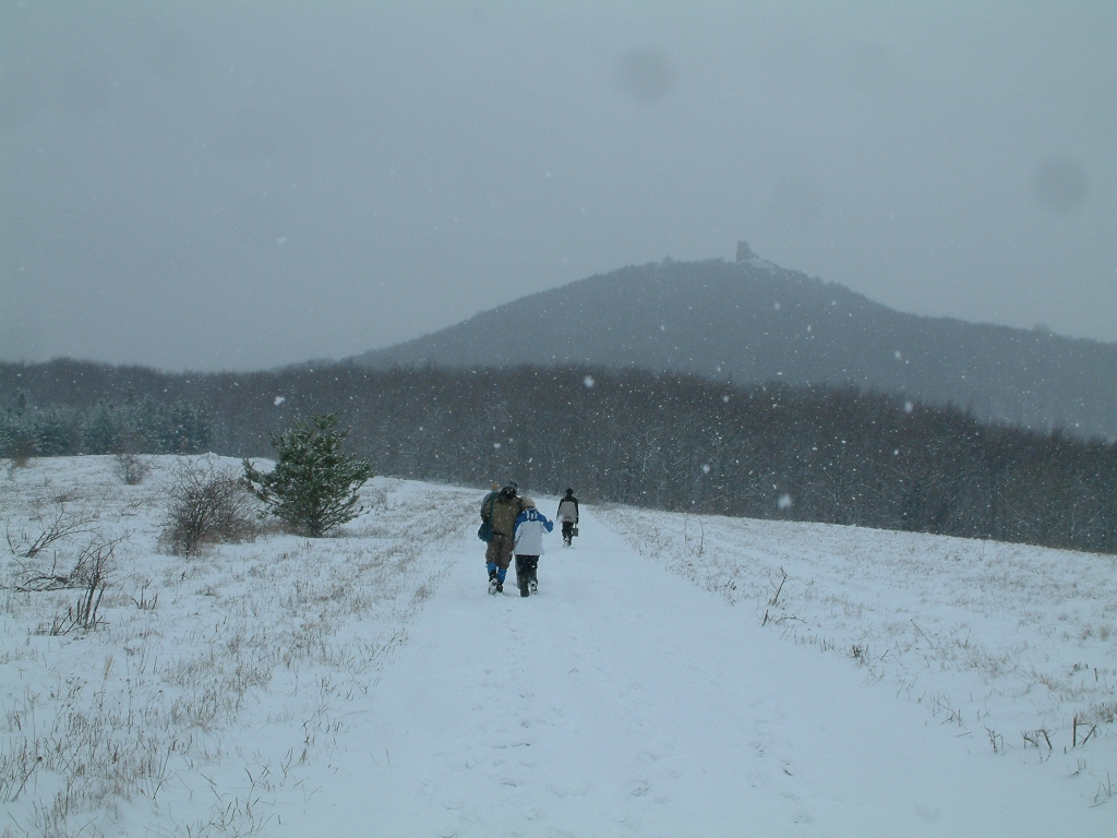 DSCF0105a.jpg