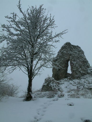 DSCF0116a.jpg