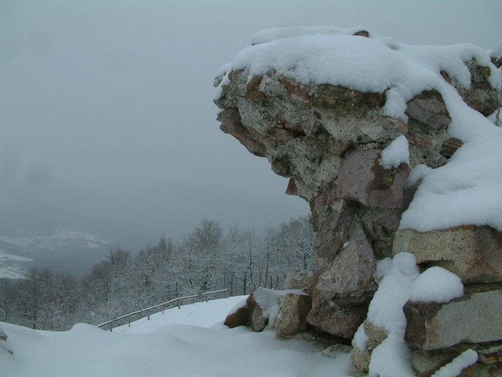 DSCF0119a.jpg