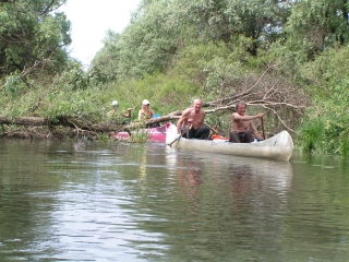 PICT1495a.jpg