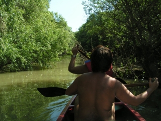 PICT1514a.jpg