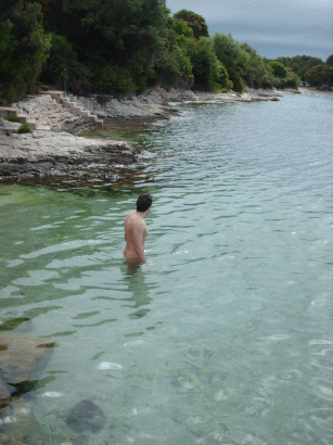 021a.gif