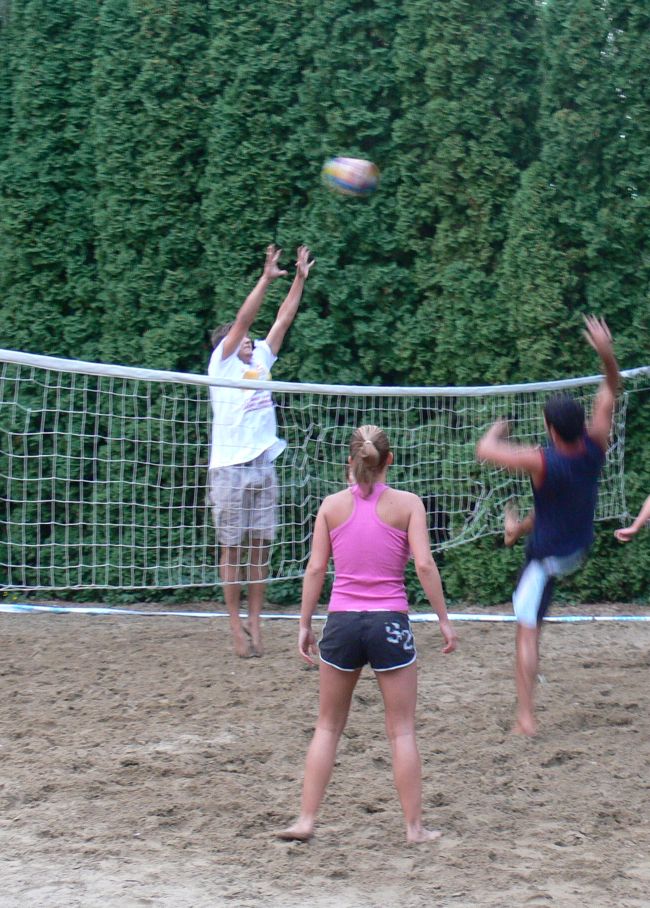 sziki_nbbke2.jpg