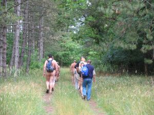 IMG_2475a.jpg