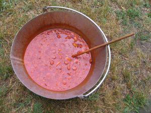 IMG_2535a.jpg