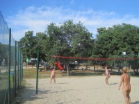 IMG_3966v.jpg