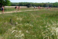 IMG_1954h.jpg