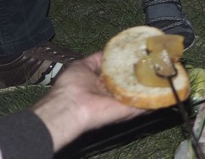 40_5270364h.jpg