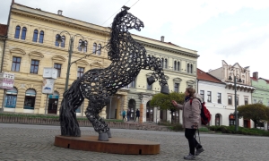 20170408_124500h.jpg