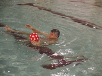 P1060093usz.jpg