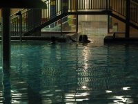 PA060114h.jpg