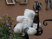 P9140925maco.jpg