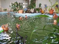 P9140934h.jpg