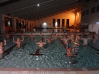 DSC02604x.jpg