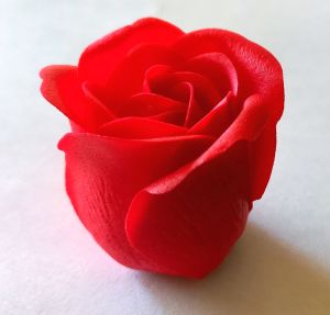 20220306_091311rozsah.jpg