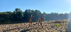 20220805_071725h.jpg