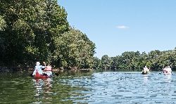 IMG_20220804_114614h.jpg