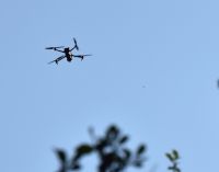 dsc_0212a.jpg