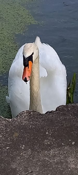 356838982_6439500172776313_428311691308311065_n.jpg