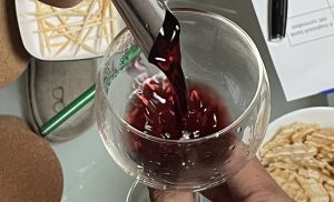 IMG_E9489h.jpg