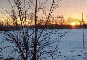 20260125_072214h.jpg