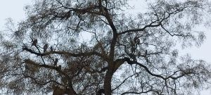 20260125_123433h.jpg